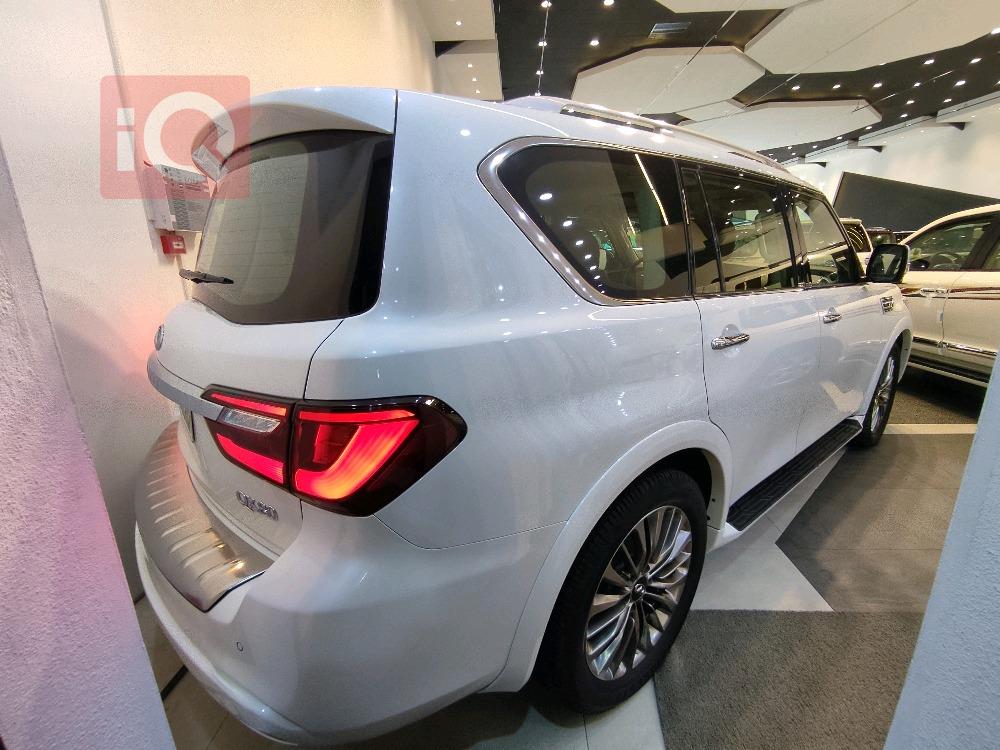 انفنتي QX80